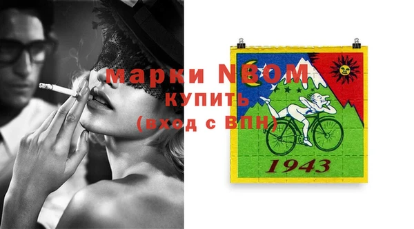 шишки Майский