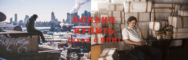 шишки Майский