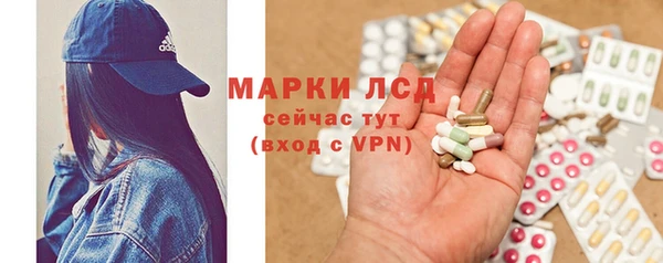 тгк Магас