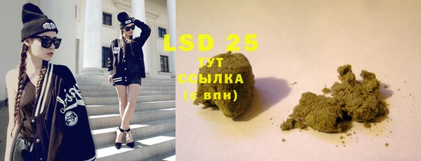 шишки Майский