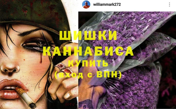 шишки Майский