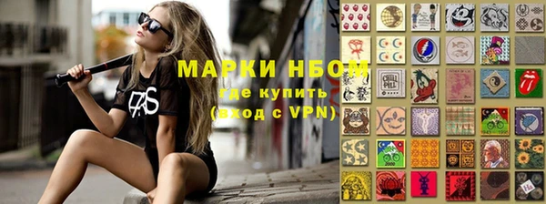 шишки Майский