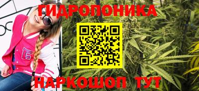 Альфа ПВП Канаш