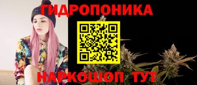 дурь Гусиноозёрск