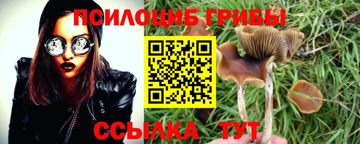 Галлюциногенные грибы прущие грибы Среднеуральск